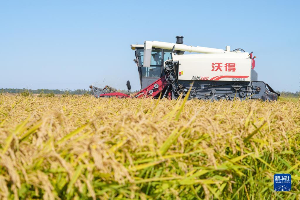 九州官网网站是多少
